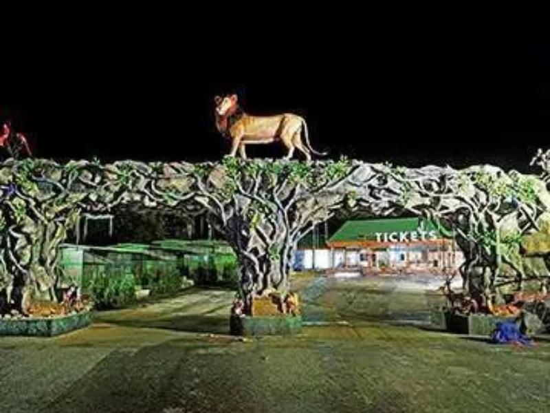 Jungle Safari