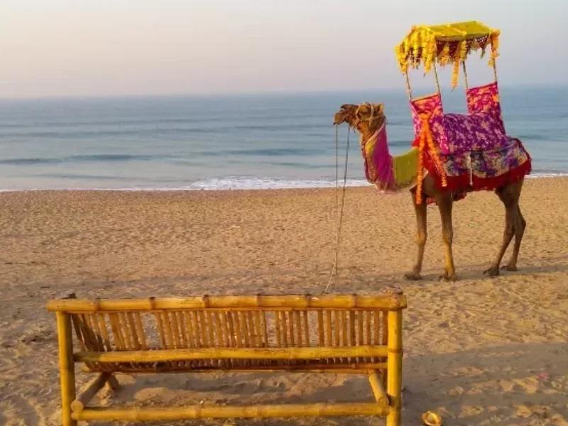 Madhavpur Beach