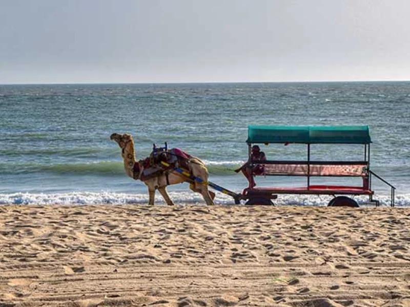 Mandvi Beach