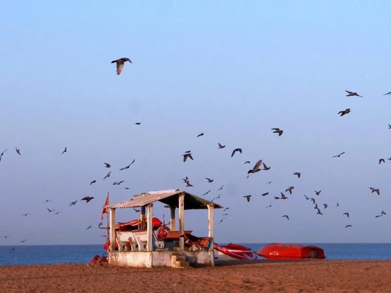 Mandvi Beach