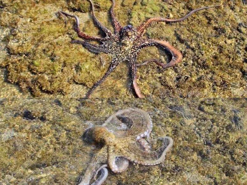 Marine National Park