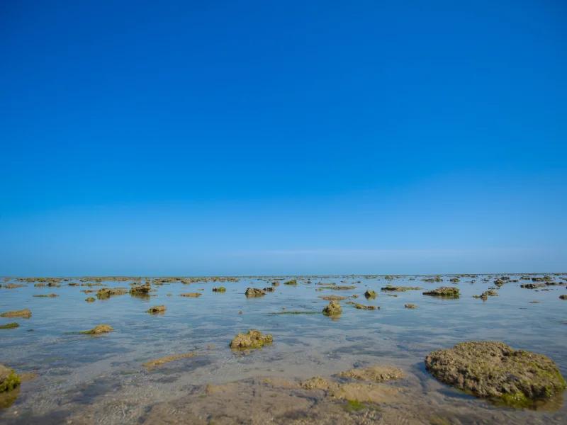 Marine National Park