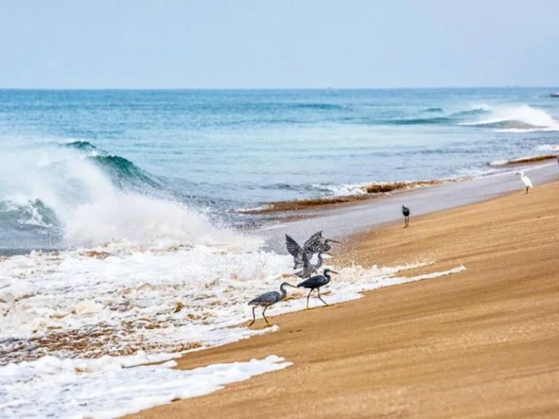 Porbandar Beach