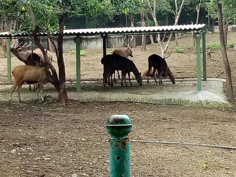 Pradhyuman Zoological Park