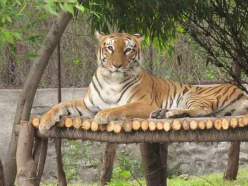 Pradhyuman Zoological Park