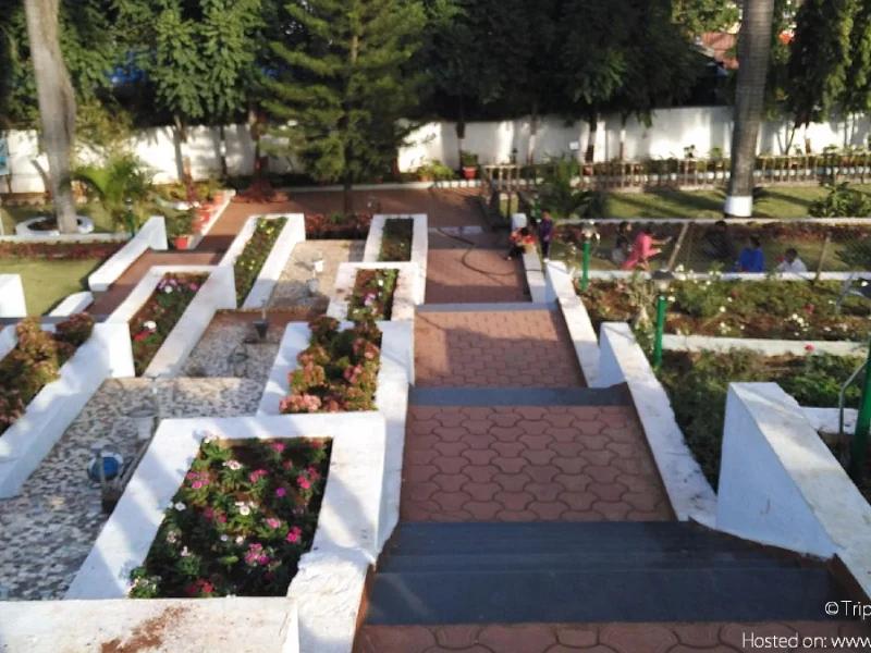 Step Garden