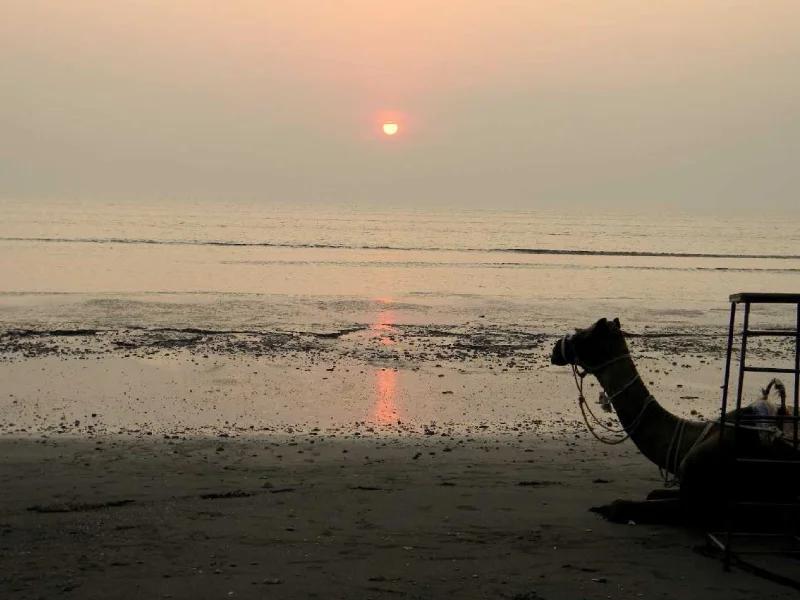Tithal Beach