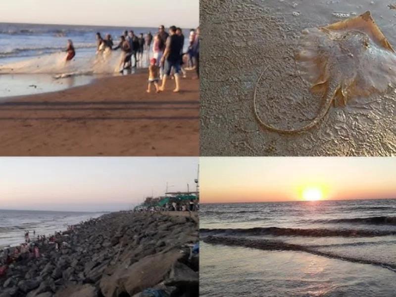 Tithal Beach