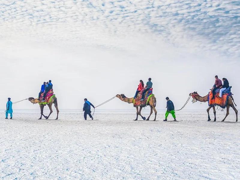 White Rann of Kutch