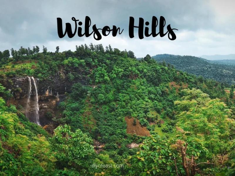 Wilson Hills